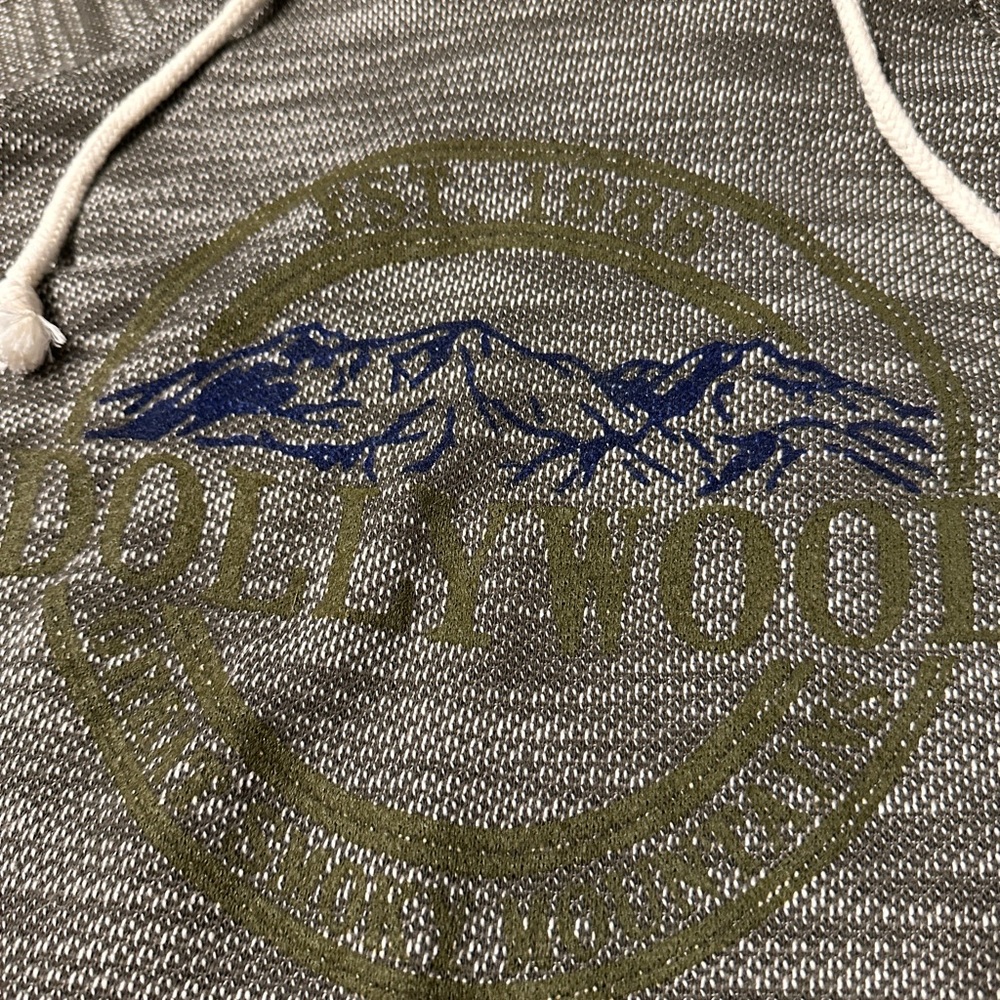 Dollywood Hoodie Sweatshirt - Picture 3 of 4